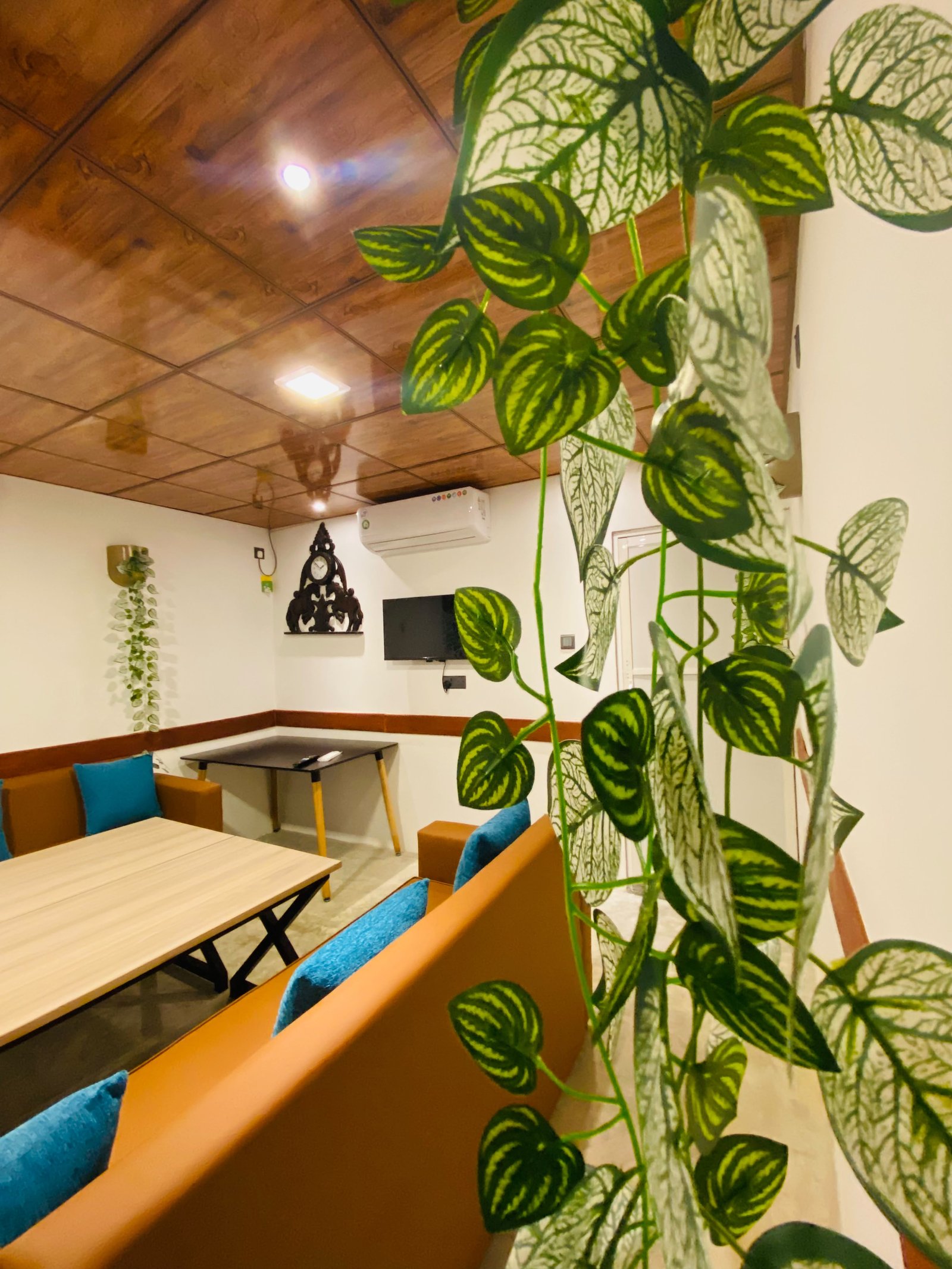 VIP Room